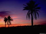 Tropical sunset Arizona