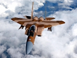USAF F15D